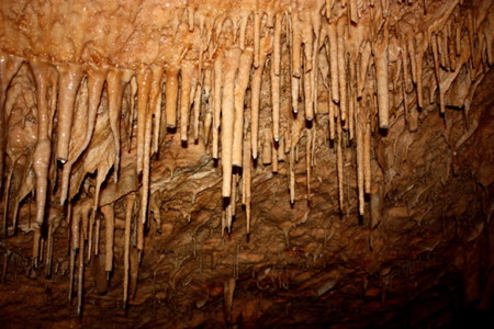 bermudes caves3.jpg