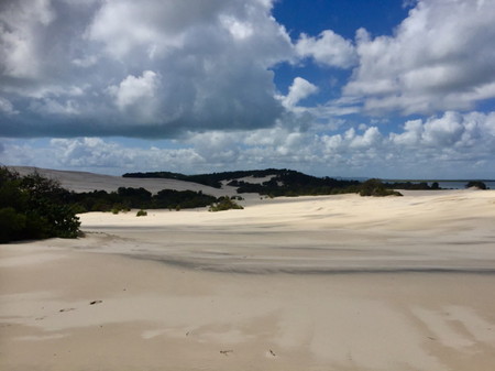 dunes3.jpg