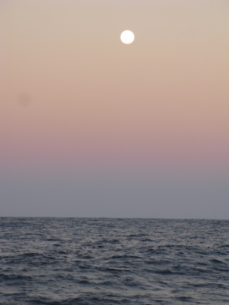 galapagos marquises lune2.jpg